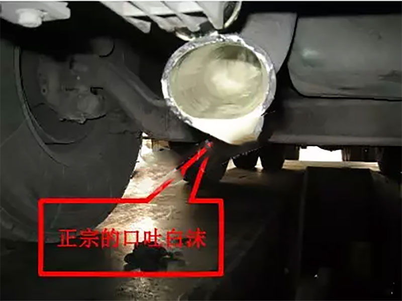 foaming-at-the-mouth-of-the-car