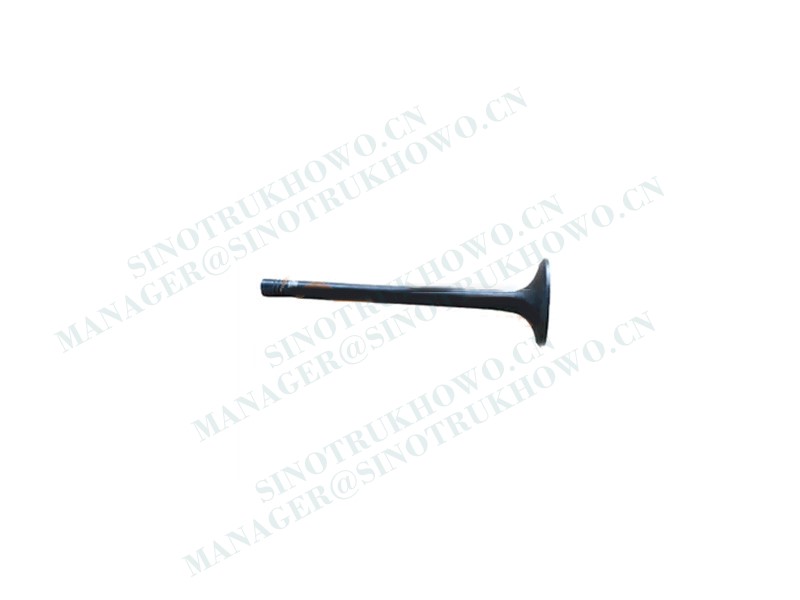 Intake and exhaust valve VG1246050021