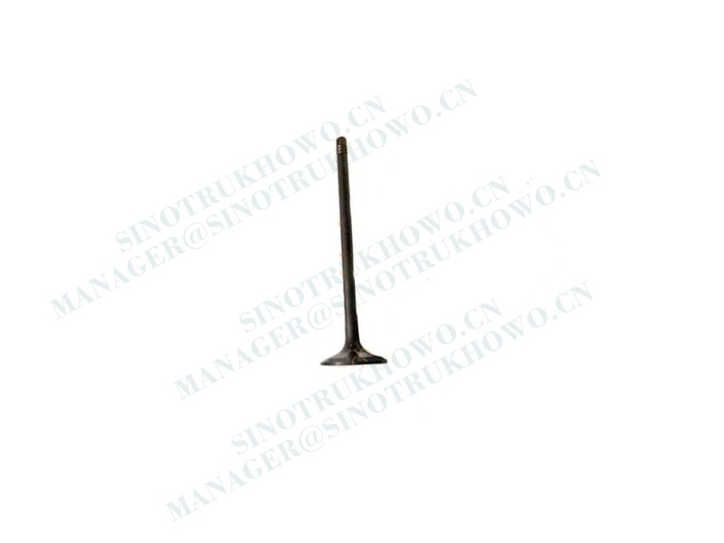 Intake and exhaust valve VG1246050021