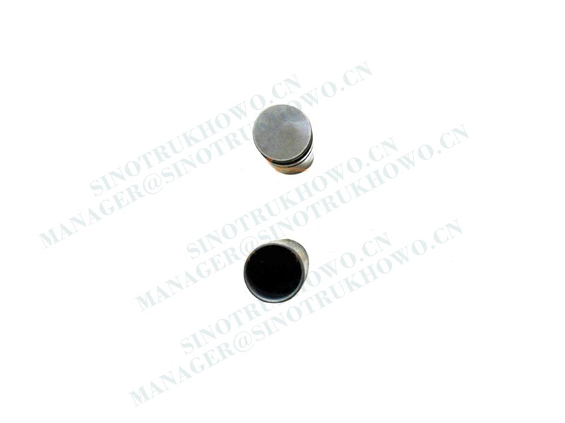 Valve tappet VG1246050029