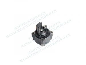 Flange gear fork shaft WG2222100003