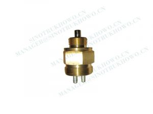 PRESSURE SWITCH WG9100710069