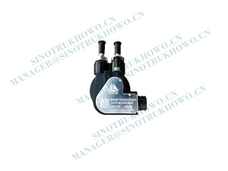 Oil level sensor WG9725550030