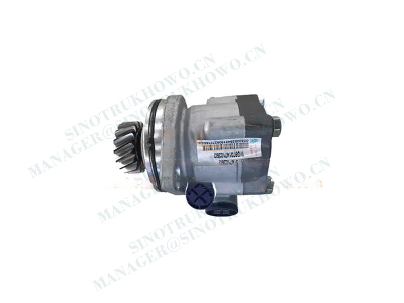 Steering vane pump WG9731471025