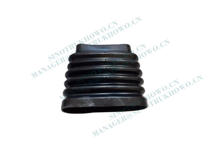 Intake Hose WG9925195040