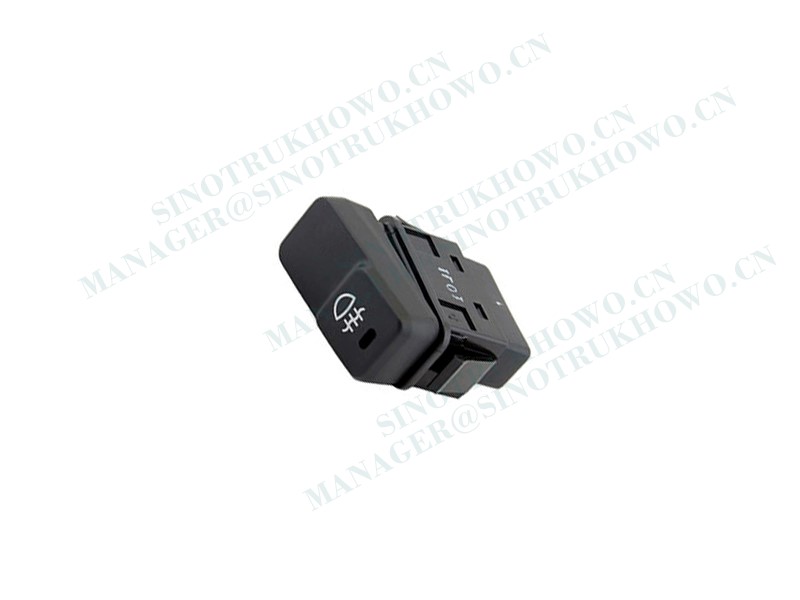 Rear fog light switch WG9925584113