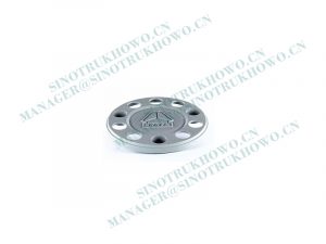 WG9925610030