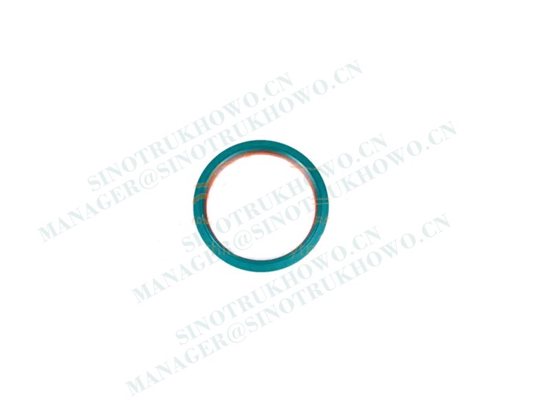 Oil seal WG9981340113