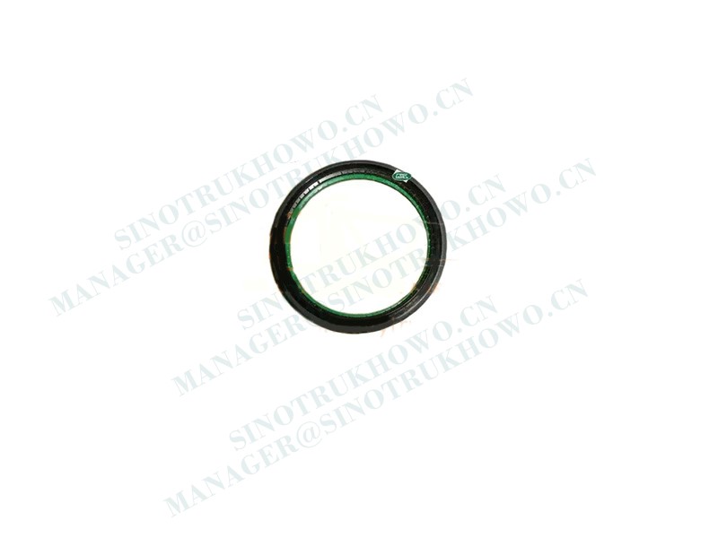 Oil seal WG9981340113