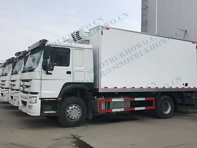 HOWO 290hp euro2 4x2 15ton Refrigerator freezer Refrigerated Truck Small Truck-CSC20190531-1
