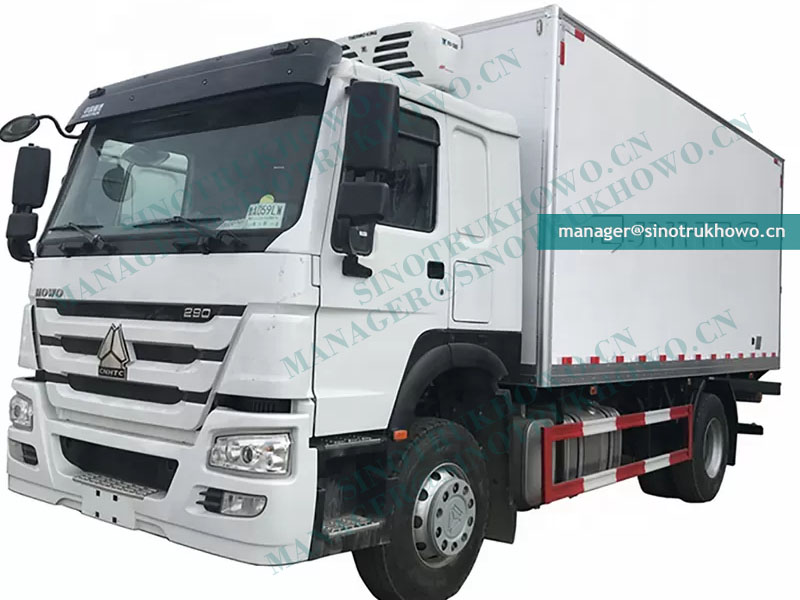 HOWO 290hp euro2 4x2 15ton Refrigerator freezer Refrigerated Truck Small Truck-CSC20190531