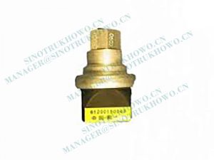 WG1200190040 Clogging Indicator Switch