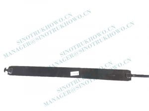 WG9925550027 Strap Assembly