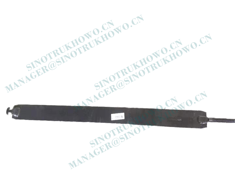 WG9925550027 Strap Assembly