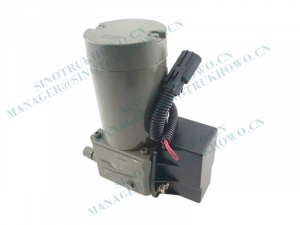 WG9925820031Motor Assembly