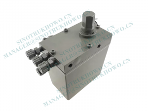WG9925822002Electric Lift Oil Pump