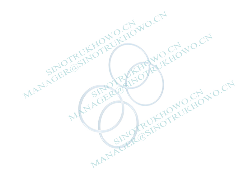 One-Way O-Ring For Rotary Steering Knuckle WG4095415011
