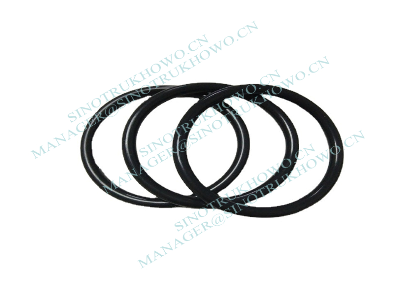 O-ring WG7117349101