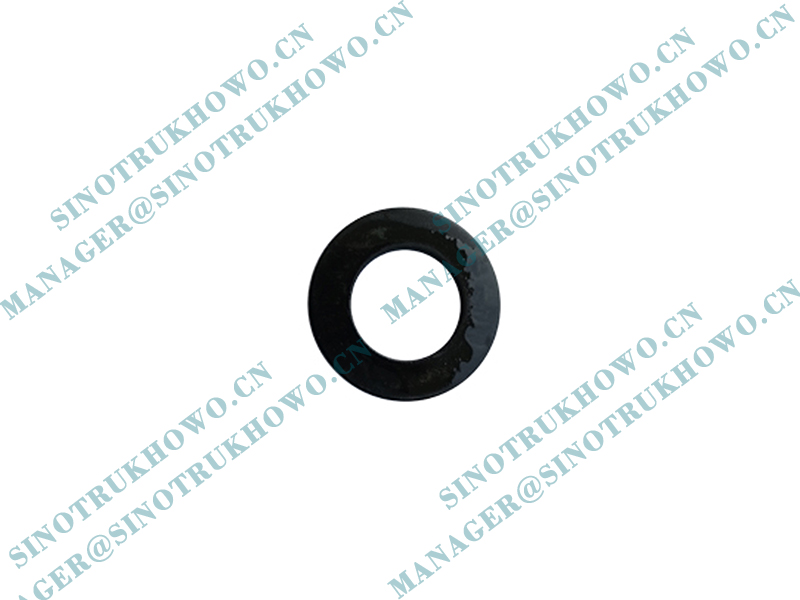 Flat Washer Q40112F31